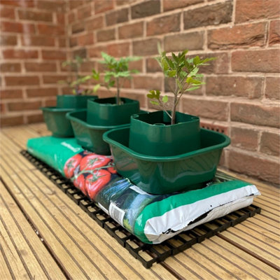 12 X Grow Bag Watering Pots Tomato Ring Culture Bottomless Planter Growbag Grow from B&Q