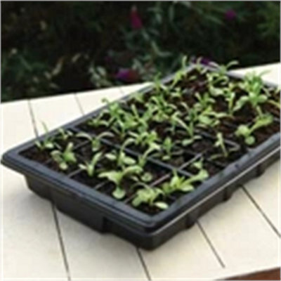 3 Propagators-Garden Grow 40 Cell Tray Propagator Plant Seed Cuttings Growing Trays Clear Lid from B&Q