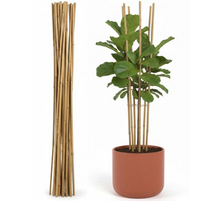 20  3Ft Bamboo Wooden Plant Sticks Wood Canes Garden Plants Support Flower Cane from B&Q