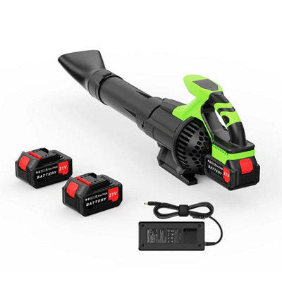 3000W 21V Brushless Cordless Leaf Blower With 2 Batteries from B&Q