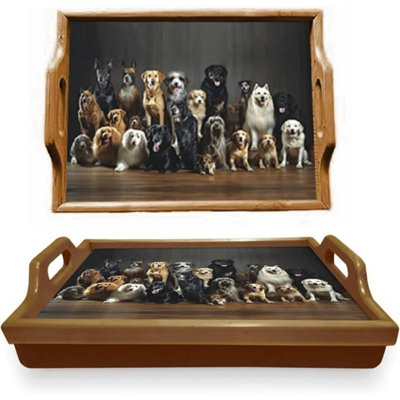 Dogs Lap Tray-Wooden Lap Tray Breakfast Dinner Food Soft Padded Bean Bag Cushion Serving Tray from B&Q