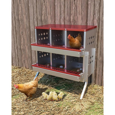 6-Compartment Chicken Nest Box Mental Box Nesting Boxes
