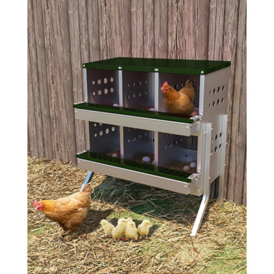  - Metal Nesting Boxes For Chicken 6 Compartment Nesting Box