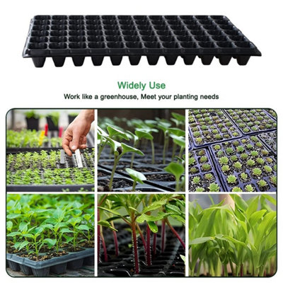 Set Of 10Pcs128 Holes Seed Trays 10-Pack Seedling Starter Tray Kit Mini Propagator Soil Cultivation from B&Q