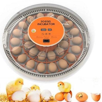 30 Eggs Incubator Temperature Control Chicken Hatcher Automatic Turning Digital from B&Q