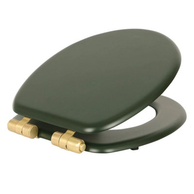 1X Soft Close Toilet Seat Green/gold Durable Oval Shape Wc Lid from B&Q
