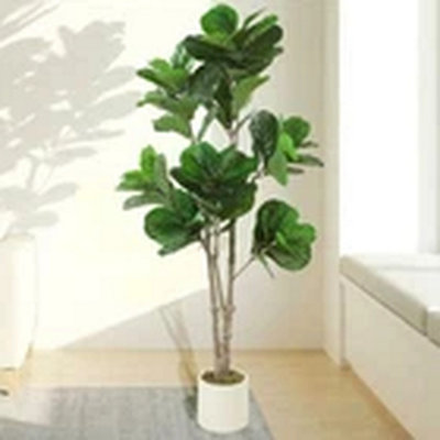  - Green Fiddle Leaf Fig Tree180Cm Realistic Plant