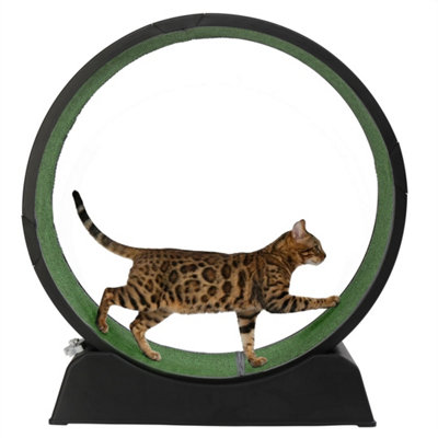 Large Cat Running Treadmill Indoor Exerciser Wheel Uk from B&Q
