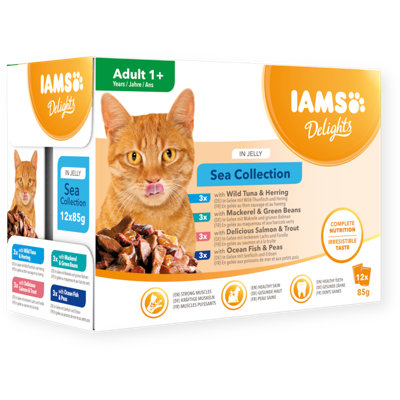 Iams Delights Adult Sea In Jelly 8Pk from B&Q