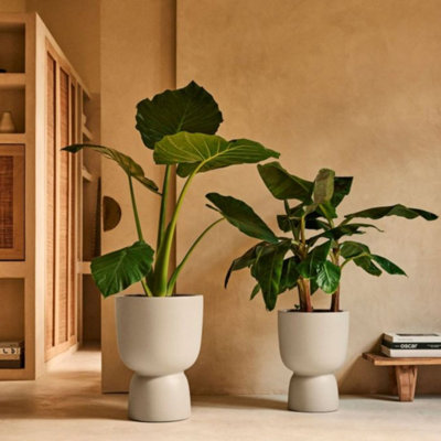 Elho Amber Coupe 35BeigeIndoor And Outdoor100% Recycled from B&Q