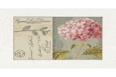 Groves Of Thames Hydrangea - Counted Cross Stitch Kit: Hydrangea - Lanarte Ivory