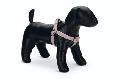 Designed By Lotte Harness Virante Pink 25mm X60-100Cm from B&Q