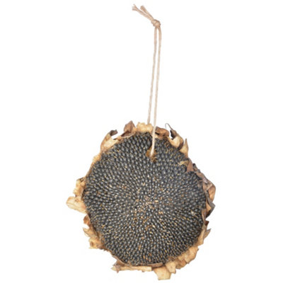 B&Q -  Dried Hanging Sunflower Seeds For Wild Birds 1Pc