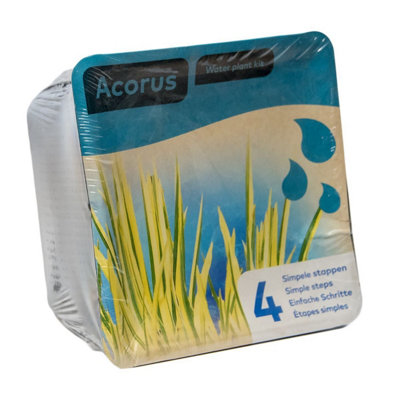Complete Water Plant Pond Plant KitAcorus from B&Q