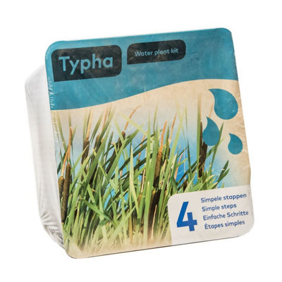 B&Q Complete Waterplants Pond Plant Kit - Typha