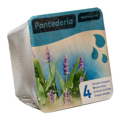 Complete Waterplants Pond Plant KitPontederia from B&Q