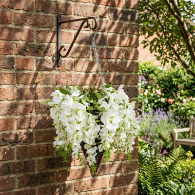 Lunaria Blanc Cascading Wisteria Hanging Basket from B&Q