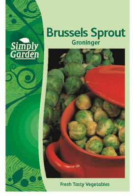 Brussels Sprout Groninger SeedsVegetableAnnual from B&Q