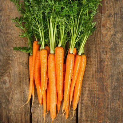 Carrot Early Nantes SeedsVegetableAnnual from B&Q