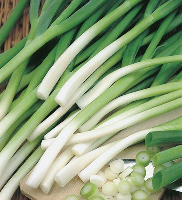 Spring Onion Long White Ishikura SeedsVegetableAnnual from B&Q