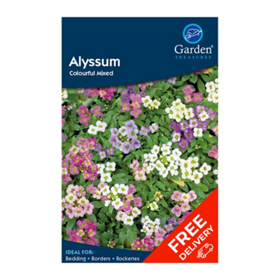 Garden Treasures Alyssum Colourful Mixed (Lobularia Martima) Flower Seeds from B&Q