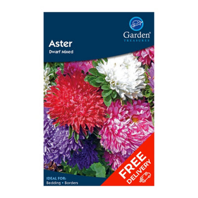 Garden Treasures Aster Dwarf Mxd (Callstephus Chinensis) Flower Seeds from B&Q