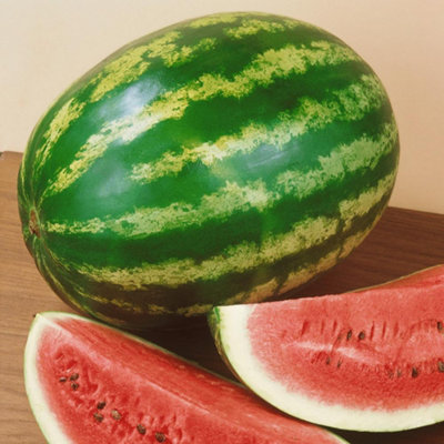 Watermelon Crimson Sweet SeedsFlowerFruitAnnual from B&Q