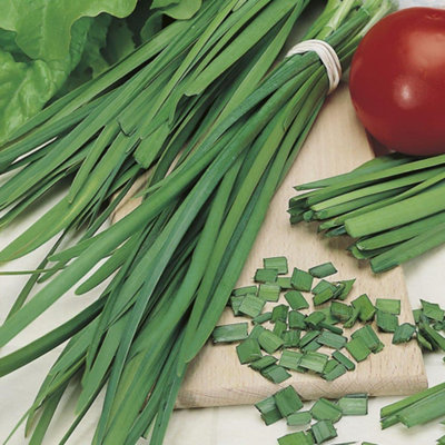 Garlic Chives SeedsHerbAnnual from B&Q