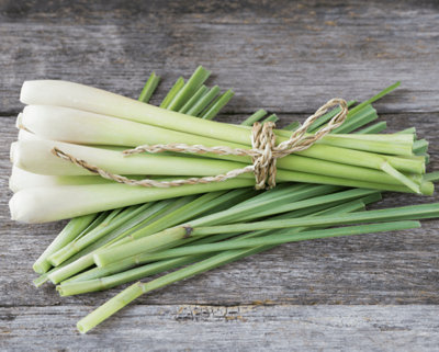  - Lemon Grass SeedsVegetableAnnual