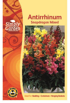 Antirrhinum Snapdragon Mixed SeedsFlowerAnnual from B&Q