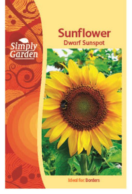Sunflower Dwarf Sunspot SeedsFlowerAnnual from B&Q