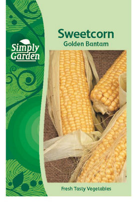 Sweetcorn Golden Bantam SeedsVegetableAnnual from B&Q