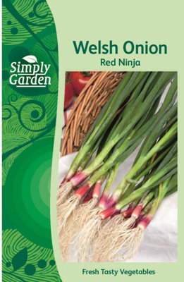  - Welsh Onion Red Ninja SeedsVegetableAnnual