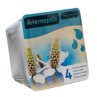 B&Q Complete Waterplants Pond Plant Kit - Anemopsis