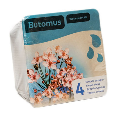 B&Q Complete Waterplants Pond Plant Kit - Butomus