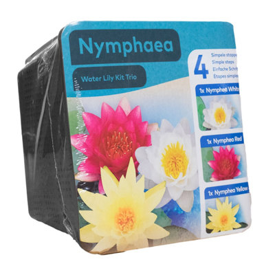 Moerings Water Lily Pond Plant Trio Kit Pack (WhiteRedYellow) Complete Kit For Easy Pond Setup from B&Q