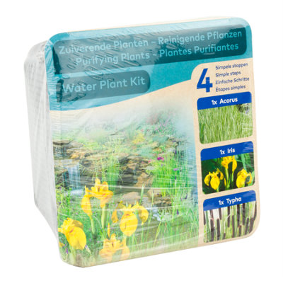 B&Q Moerings Waterplants Pond Plants Complete Kit - Purifying Plants (Iris, Acorus And Typha) Small