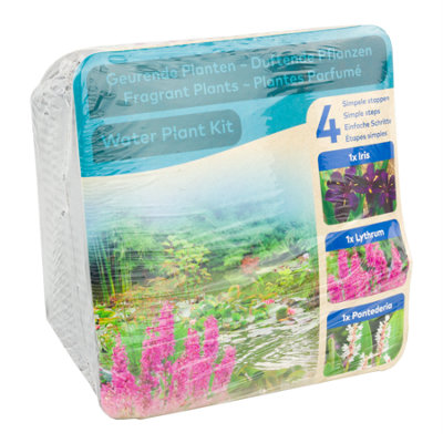 B&Q Moerings Waterplants Pond Plants Complete Kit - Fragrant Plants (Iris, Lythrum, And Pontederia)