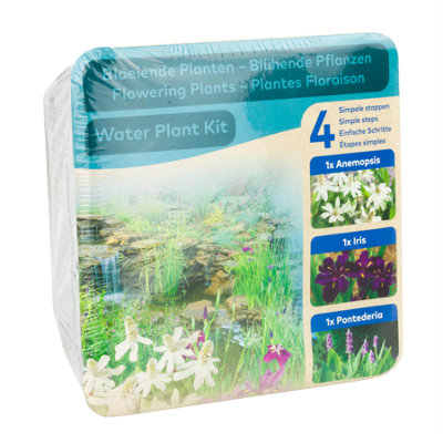 B&Q Moerings Waterplants Pond Plants Complete Kit - Flowering Plants (Iris, Anemopsis, And Pontederia)