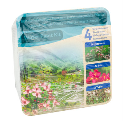 Moerings Waterplants Pond Plants Complete KitInsect-Friendly Plants (IrisButomus And Typha) from B&Q
