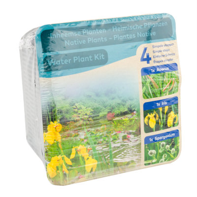 B&Q Moerings Waterplants Pond Plants Complete Kit - Native Plants (Iris, Acorus And Sparganium)
