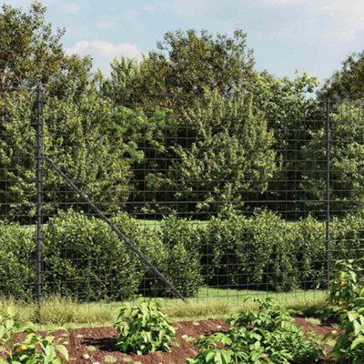 Walplus Wire Mesh Fence With Spike Anchors Anthracite 1.4X25 M from B&Q