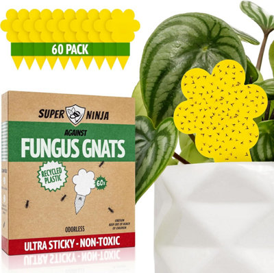 Super Ninja Fungus Gnat Killer60 TrapsHighly Effective And Ecological Yellow Sticky Traps For Fungus Gnat And Whitefly from B&Q