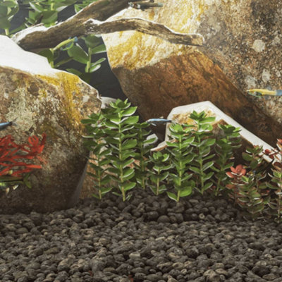 Walplus Black Volcanic Rocks 10 Kg - 5-8 Cm Lava Rock For Aquariums, Gardens & Landscaping 10Kg B&Q