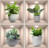 Found it product image.