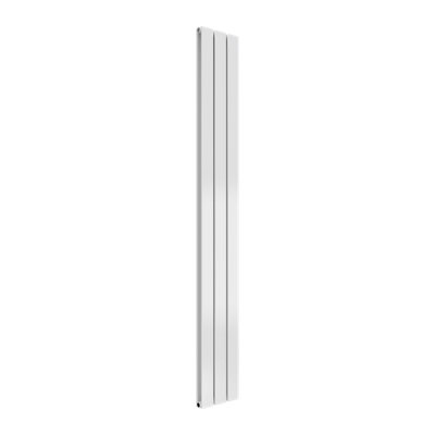Reina Flat Vertical Double Panel Radiator 1600 X 218 mmWhite from B&Q