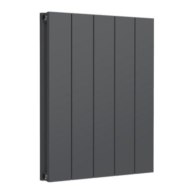 Reina Casina Horizontal Aluminium Double Panel RadiatorSize 600 X 470mmAnthracite from B&Q