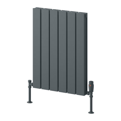 Reina Piatto Horizontal Aluminium Double Panel RadiatorSize 600 X 445mmAnthracite from B&Q