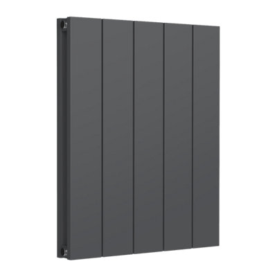 Reina Casina Horizontal Aluminium Double Panel RadiatorSize 600 X 470mmAnthracite from B&Q
