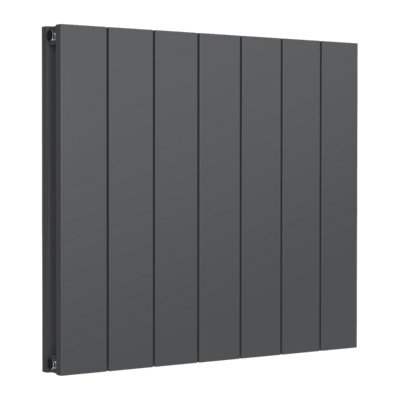 Reina Casina Horizontal Aluminium Double Panel RadiatorSize 600 X 660mmAnthracite from B&Q